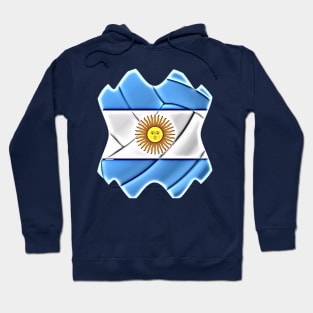 Soccer ball Argentina Champion World 2022 Hoodie